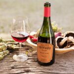 Privado Oasis Sur, un Pinot Noir diferente que nace entre Mendoza y la Patagonia