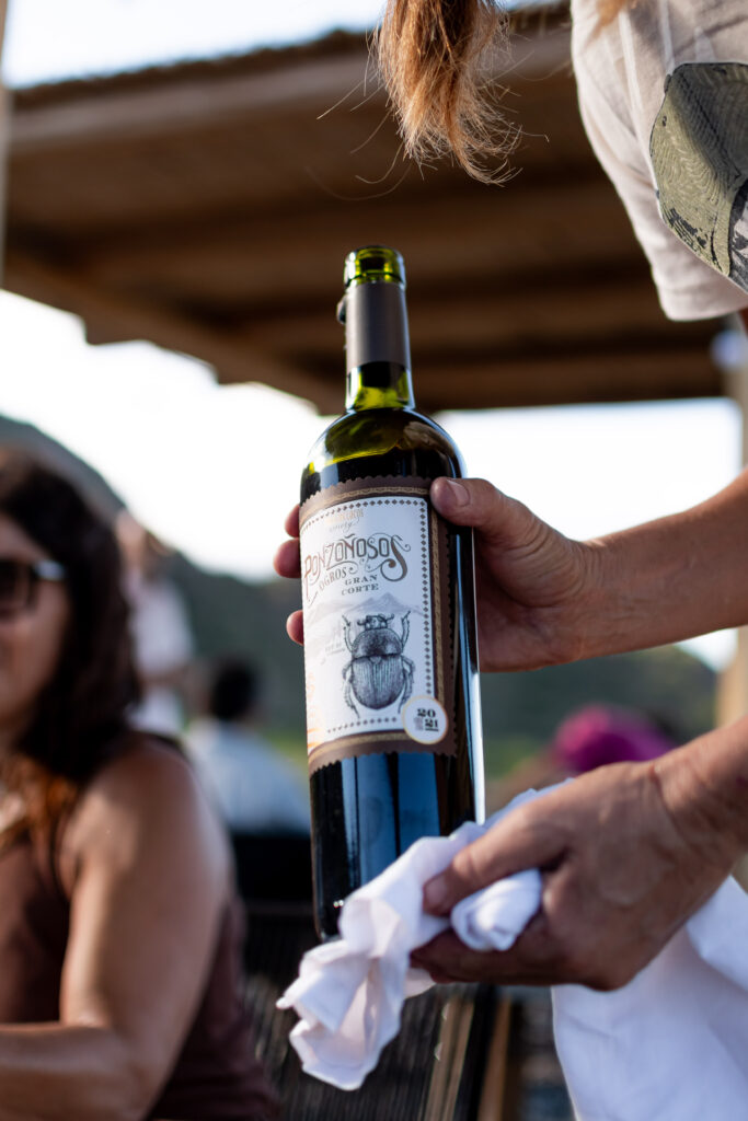 «Solo Los Locos» , la historia de amor, naturaleza y vino que nació entre los Alpes y los Valles Calchaquíes